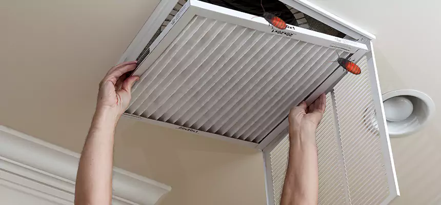 Preventive Cockroach-Proofing for Ducts in Newton