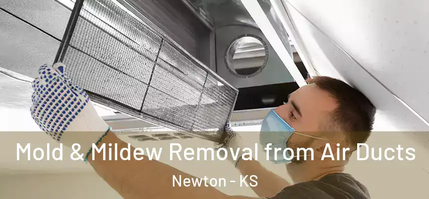  Mold & Mildew Removal from Air Ducts Newton - KS