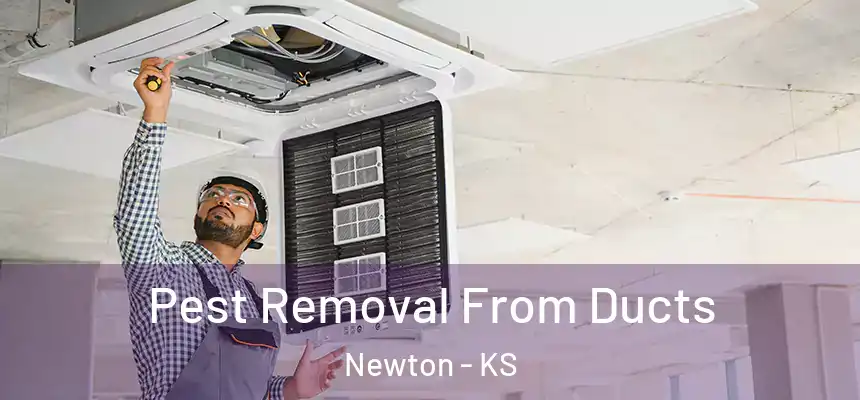  Pest Removal From Ducts Newton - KS