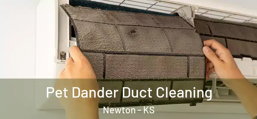  Pet Dander Duct Cleaning Newton - KS