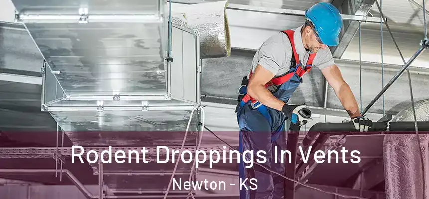 Rodent Droppings In Vents Newton - KS