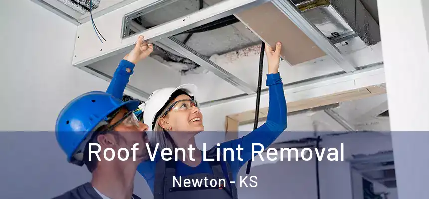  Roof Vent Lint Removal Newton - KS