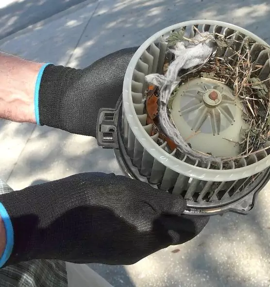 About Air Duct Mice Removal in Newton, KS