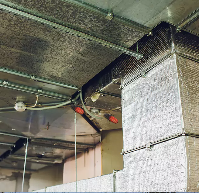 Why Homeowners & Businesses Trust Us in Newton, KS?